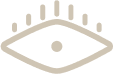 triade1 logo